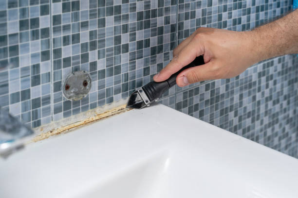 Best DIY Mold Remediation Support Services in Berry College, GA